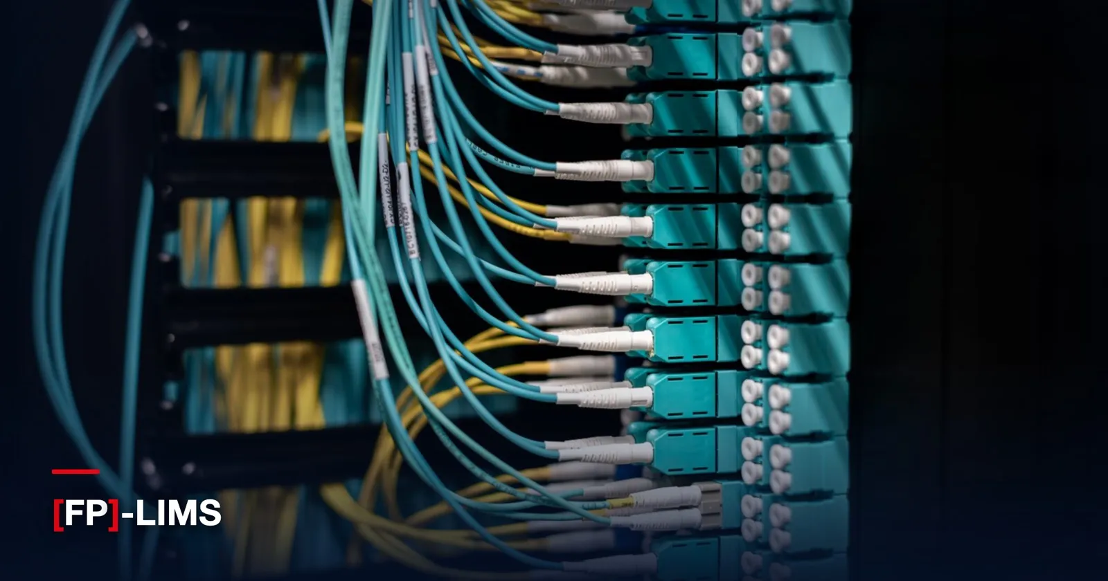 LIMS interfaces and SAP S/4HANA integration – how [FP]-LIMS connects to your entire IT landscape